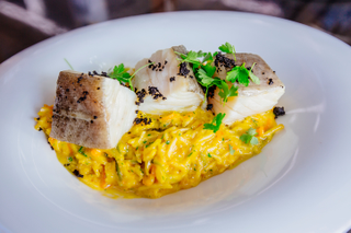 Bacalhau